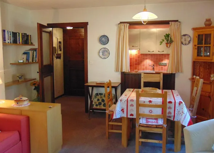 Appartamento 2 Pièces Vue Mont Blanc Avec Balcon - Chamonix, Animaux Acceptés - Fr-1-517-19 *