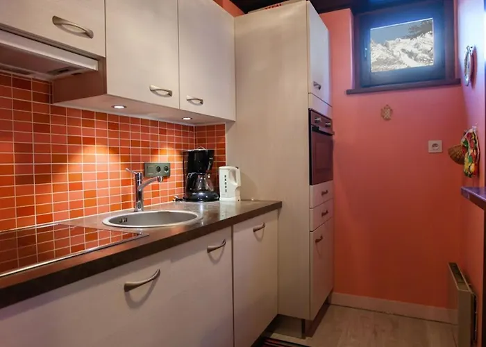 2 Pieces Vue Mont Blanc Avec Balcon - Chamonix, Animaux Acceptes - Fr-1-517-19