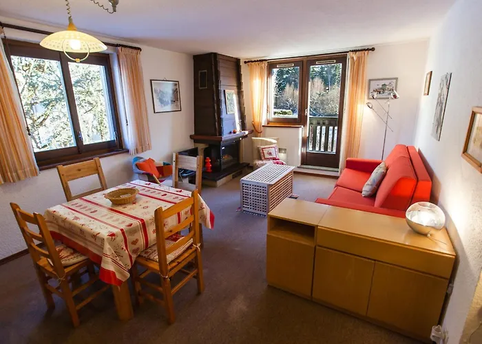 2 Pieces Vue Mont Blanc Avec Balcon - Chamonix, Animaux Acceptes - Fr-1-517-19 Apartment Chamonix